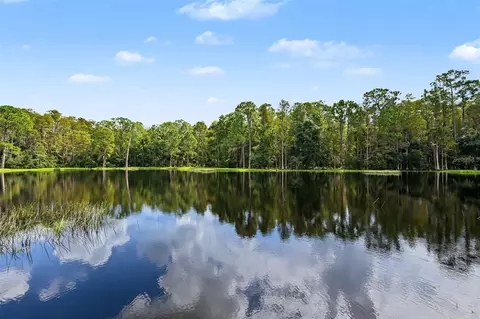 View/Area - 1300 Trimaran Pl, Trinity, FL 34655 photo 9 of 25