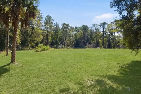 14356 Highgrove Rd, Spring Hill, FL 34609 photo 3