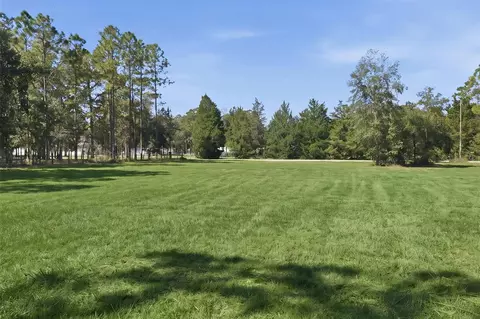 14356 Highgrove Rd, Spring Hill, FL 34609 photo 8
