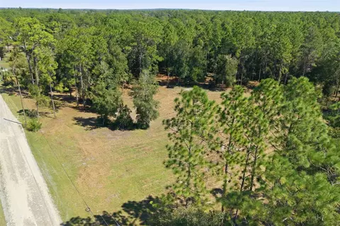14356 Highgrove Rd, Spring Hill, FL 34609 photo 47