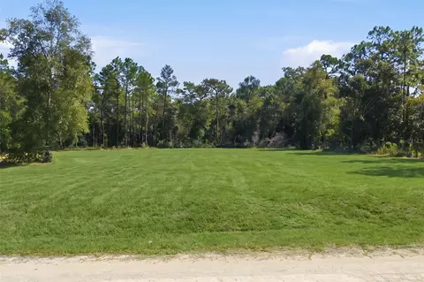 14356 Highgrove Rd, Spring Hill, FL 34609 photo 11