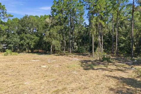 14356 Highgrove Rd, Spring Hill, FL 34609 photo 31