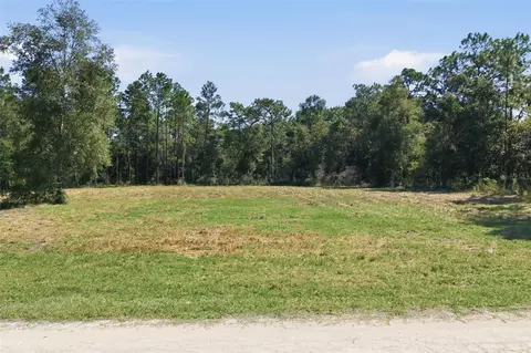 14356 Highgrove Rd, Spring Hill, FL 34609 photo 24