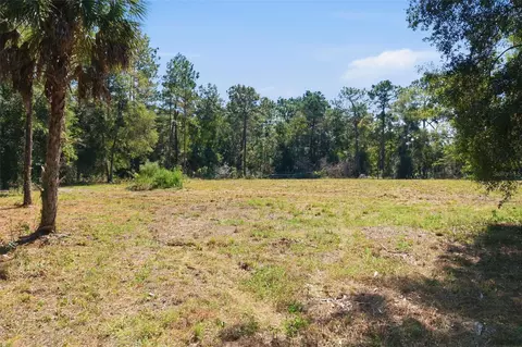 14356 Highgrove Rd, Spring Hill, FL 34609 photo 29