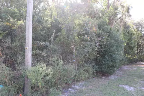 1221 Sylvia Ave, Spring Hill, FL 34606 photo 8