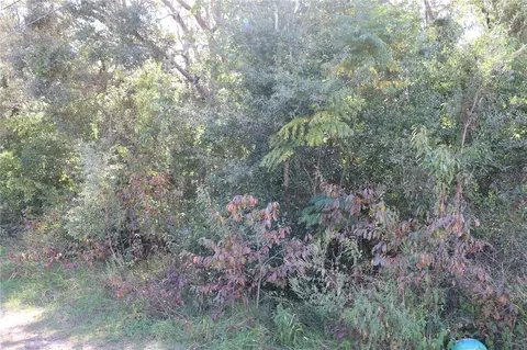 1221 Sylvia Ave, Spring Hill, FL 34606 photo 7