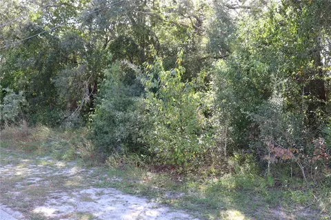 1221 Sylvia Ave, Spring Hill, FL 34606 photo 6