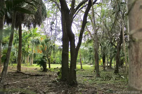 10050 SW 63rd Pl, Pinecrest, FL 33156 photo 8