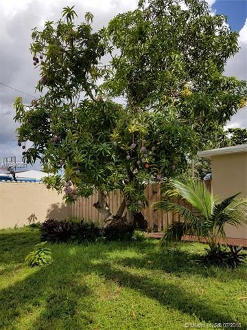 910 E 36th St, Hialeah, FL 33013 photo 22