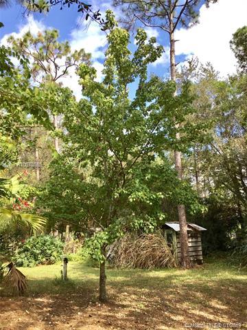 13680 N 155th Pl N, Jupiter, FL 33478 photo 41
