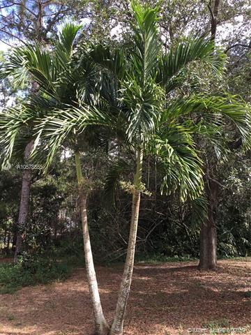 13680 N 155th Pl N, Jupiter, FL 33478 photo 46