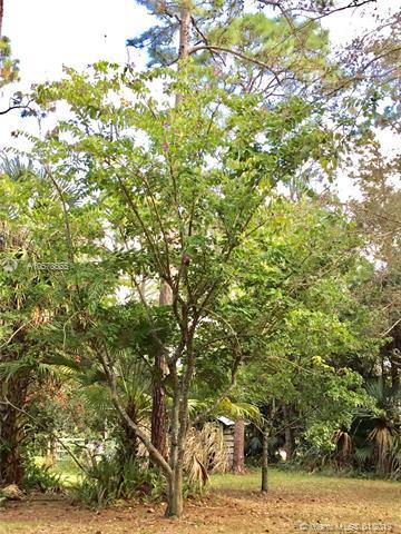 13680 N 155th Pl N, Jupiter, FL 33478 photo 39