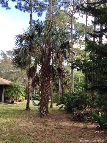 13680 N 155th Pl N, Jupiter, FL 33478 photo 38