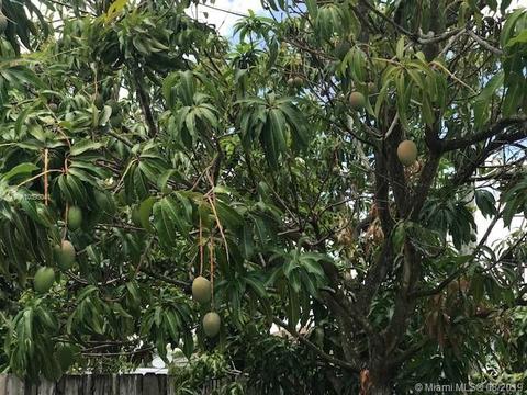 51 E 60th St, Hialeah, FL 33013 photo 42