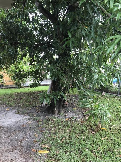 4512 E 8th Ln, Hialeah, FL 33013 photo 17