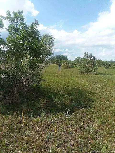 14576 NW 288, Okeechobee, FL 34972 photo 2