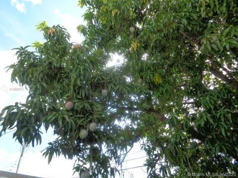 911 E 6, Hialeah, FL 33010 photo 64
