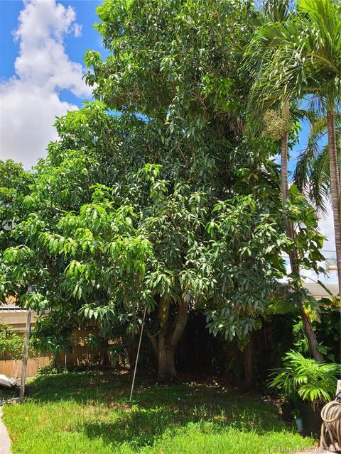 7230 W 14th Ave, Hialeah, FL 33014 photo 21