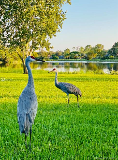 8066 SW Yachtsmans Dr, Stuart, FL 34997 photo 30