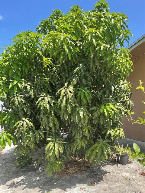 3295 W 9th Ave, Hialeah, FL 33012 photo 29