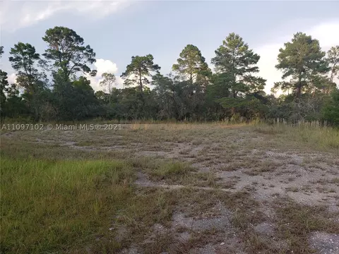 1251 Popinjay Ave, Lake Placid, FL 33852
