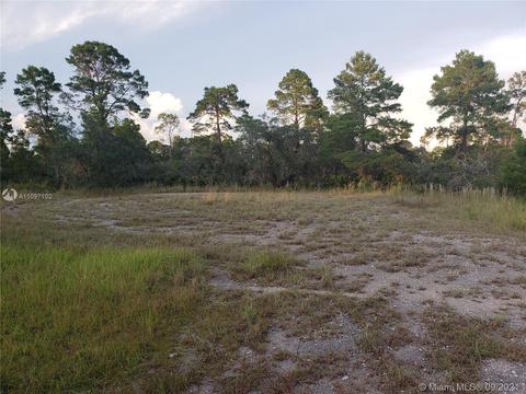 1251 Popinjay Ave, Lake Placid, FL 33852