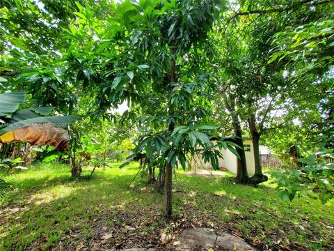 281 E 55th St, Hialeah, FL 33013 photo 46