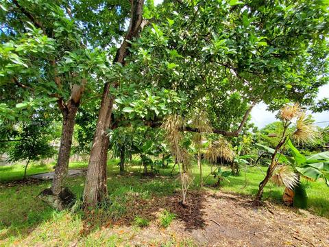 281 E 55th St, Hialeah, FL 33013 photo 48