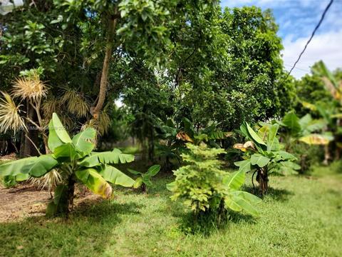 281 E 55th St, Hialeah, FL 33013 photo 45