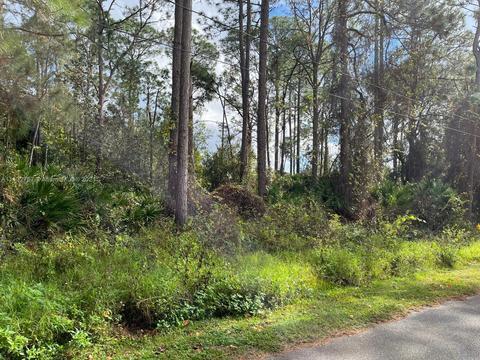 3950 Durango Ave, Sebring, FL 33872 photo 1