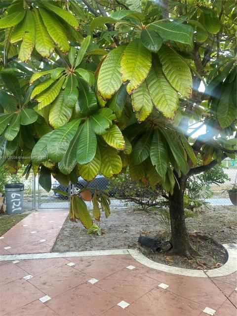 6121 E 6th Ave, Hialeah, FL 33013 photo 31