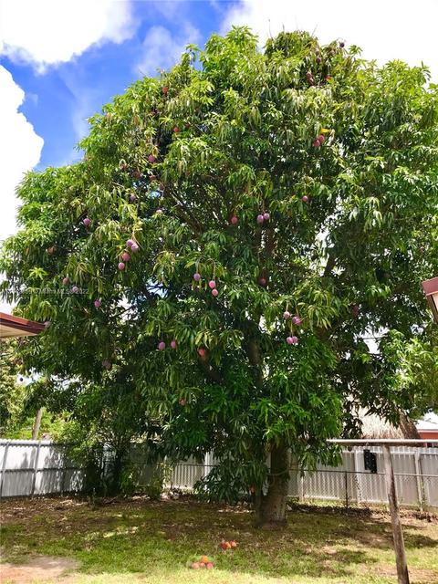 151 W 41st St, Hialeah, FL 33012 photo 32