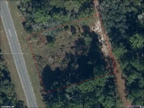 4530 Mignon Dr, Sebring, FL 33872 photo 1