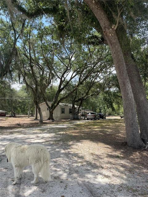 9228 SE Cr 255, Lee, FL 32059 photo 1