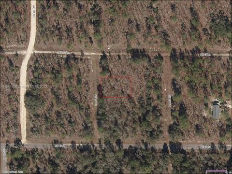 7 Northeast 156 Court, Williston, FL 32696