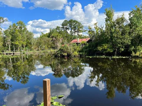 24718 Fox Rd, Astor, FL 32102 photo 14