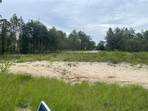 921 NE 150th Ave, Williston, FL 32696 photo 7