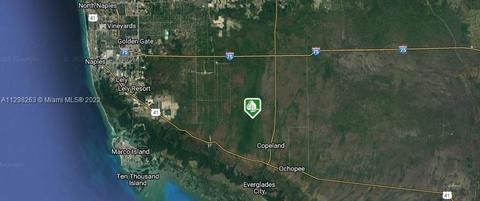 E Main Tram Trail, Naples, FL 34117