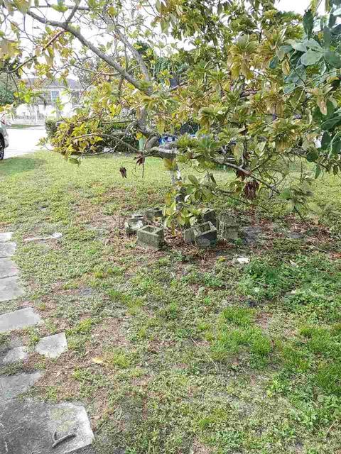 3667 E 2nd Ave, Hialeah, FL 33013 photo 4