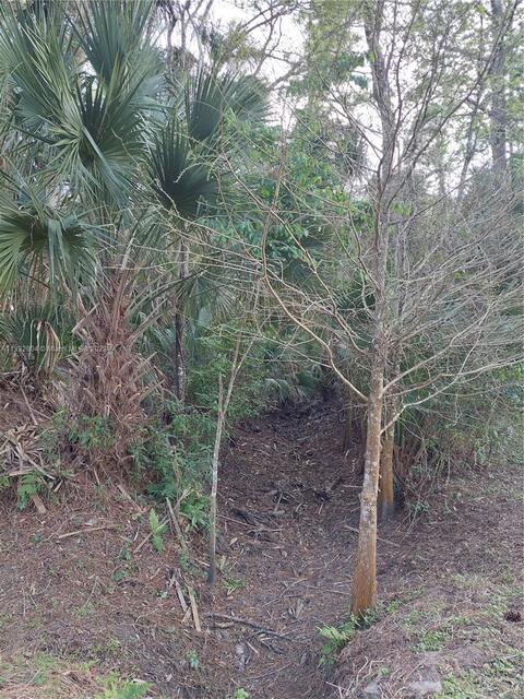 600 NW 134, Okeechobee, FL 34972 photo 3