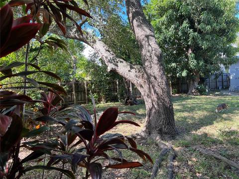 40 NW 68th St, Miami, FL 33150 photo 24