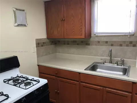308 E 43rd St, Hialeah, FL 33013 photo 51