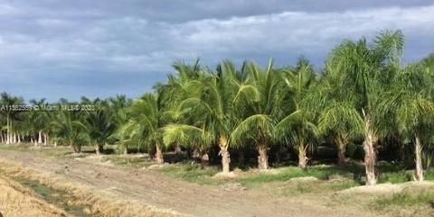 12100 SW 336 St, Unincorporated Dade County, FL 33035