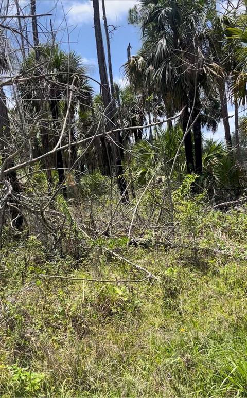 43 12 Ave, Naples, FL 34117