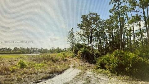 310 Selkirk Ave, Lehigh Acres, FL 33974