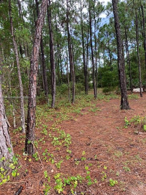 9055 103rd Ave, Other City - In The State Of Florida, FL 32967
