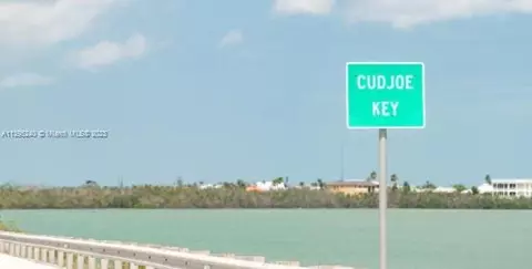 21731 Asturias Rd, Keys, FL 33042