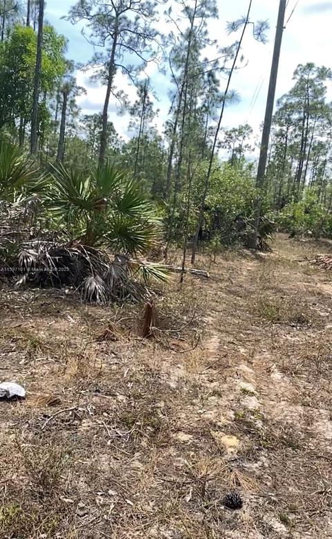 1315 Highland Ave, Lehigh Acres, FL 33972