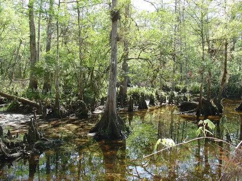 975 Silver Lake Rd, Other, FL 33935