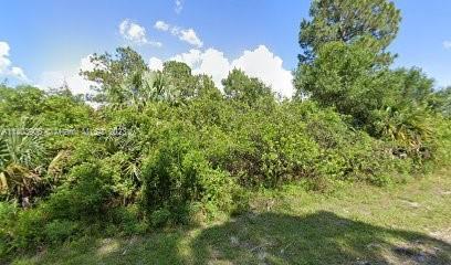431 Parkman Ave, Lehigh Acres, FL 33974